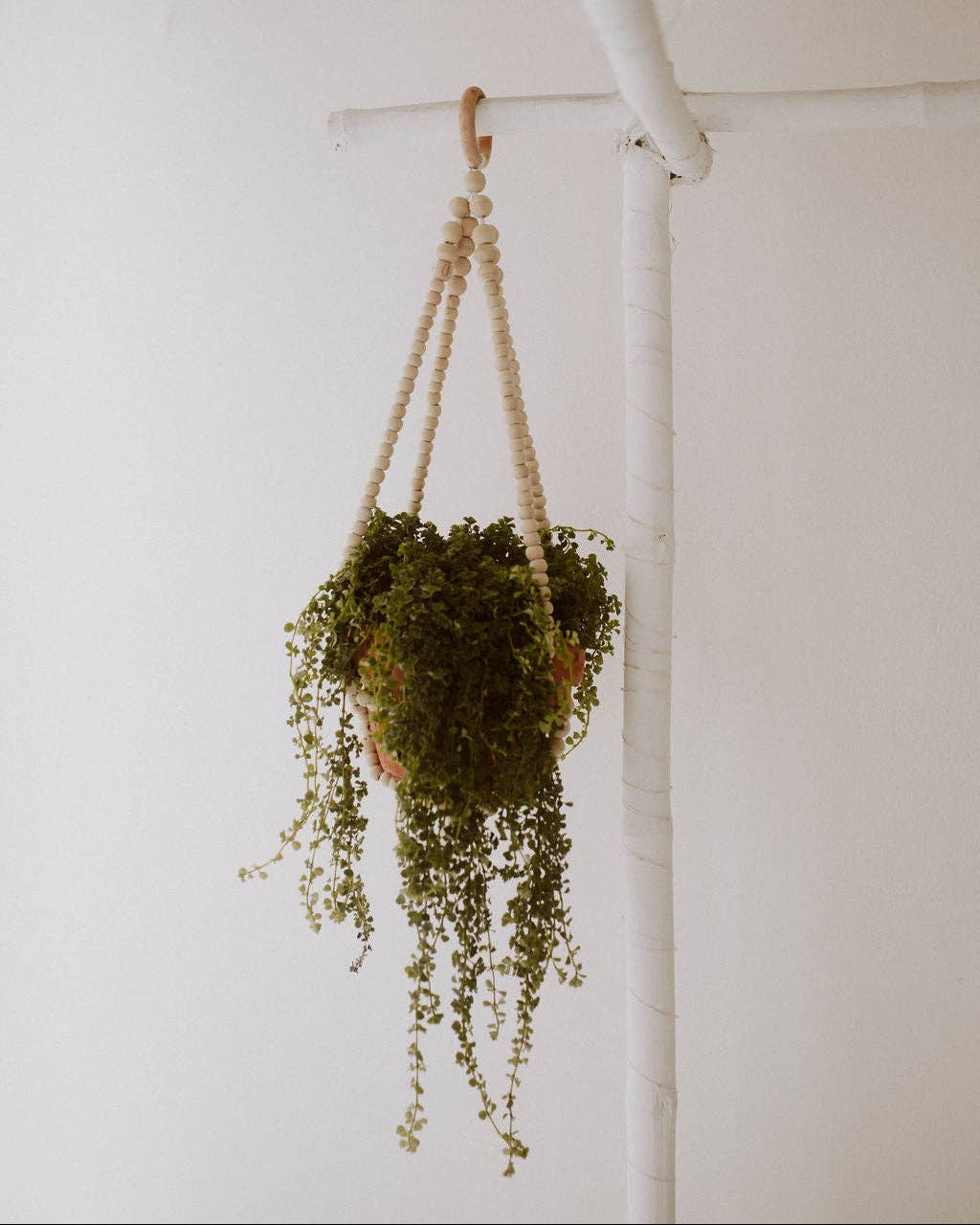 Wood Beaded Plant Hanger